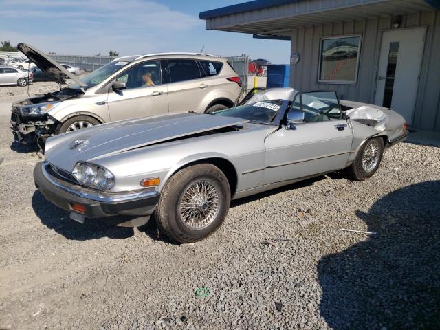Photo 1 from auction – 1990 JAGUAR XJS with VIN SAJNW5842LC168896