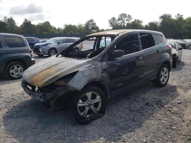 Photo 1 from auction – 2014 FORD ESCAPE SE with VIN 1FMCU0GX7EUE50860