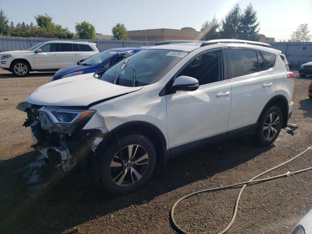 Photo 1 from auction – 2017 TOYOTA RAV4 XLE with VIN 2T3WFREV4HW365130
