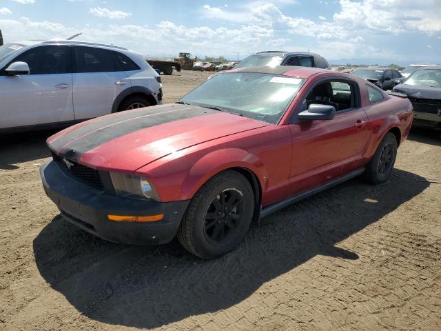 Photo 1 from auction – 2007 FORD MUSTANG with VIN 1ZVFT80N375325618