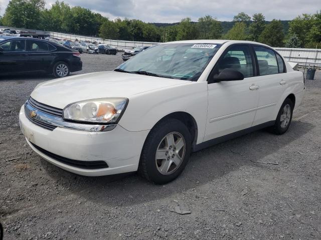CHEVROLET MALIBU LS 2005 with VIN 1G1ZT52895F339478 - Photo from auction