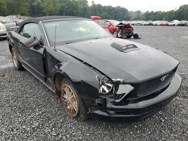 Photo 4 from auction – 2005 FORD MUSTANG with VIN 1ZVFT84N255203744
