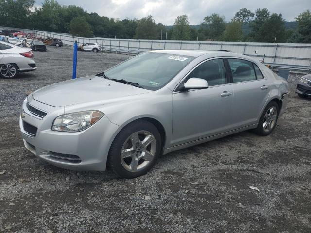 CHEVROLET MALIBU 1LT 2010 with VIN 1G1ZC5EB3AF304565 - Photo from auction
