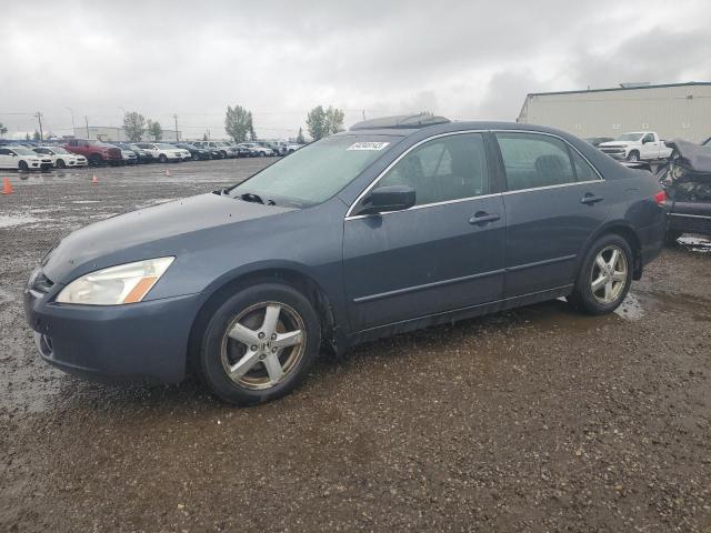 HONDA ACCORD EX 2003 with VIN 1HGCM56613A809341 - Photo from auction