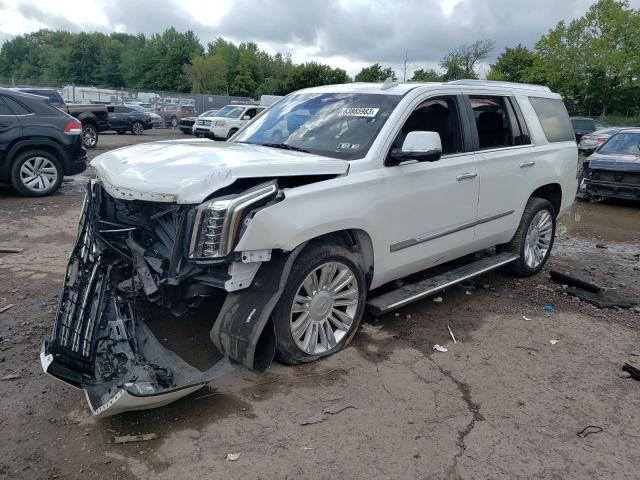 CADILLAC ESCALADE P 2016 with VIN 1GYS4DKJ1GR471584 - Photo from auction