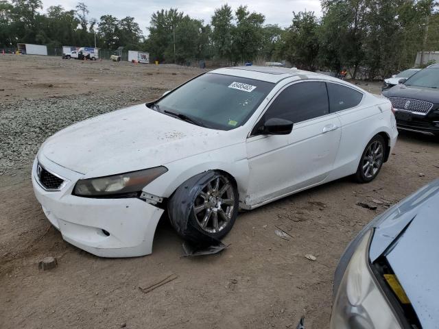 HONDA ACCORD EXL 2008 with VIN 1HGCS228D8A015319 - Photo from auction