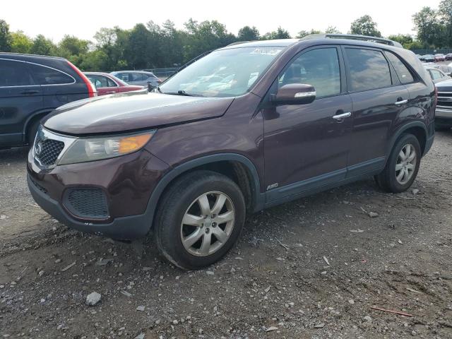 KIA SORENTO LX 2013 with VIN 5XYKTDA23DG327452 - Photo from auction