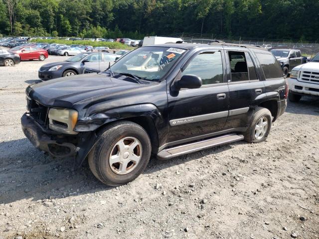 CHEVROLET TRAILBLAZE 2003 with VIN 1GNDT13S732281466 - Photo from auction