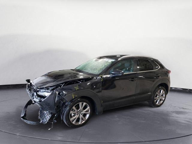 MAZDA CX-30 SELE 2023 with VIN 3MVDMBBM8PM534449 - Photo from auction