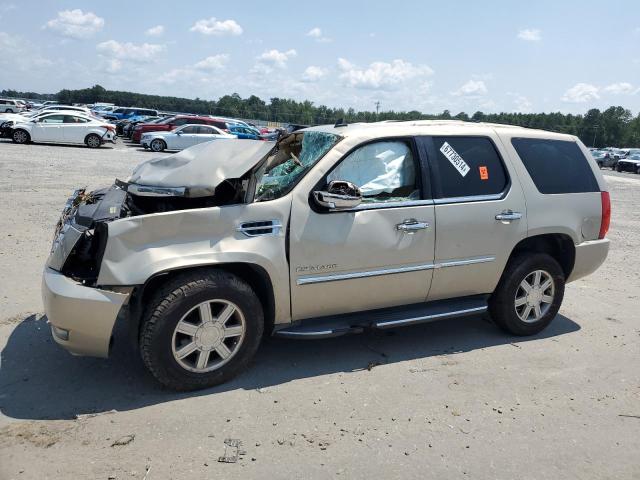 CADILLAC ESCALADE L 2011 with VIN 1GYS4BEF7BR116634 - Photo from auction
