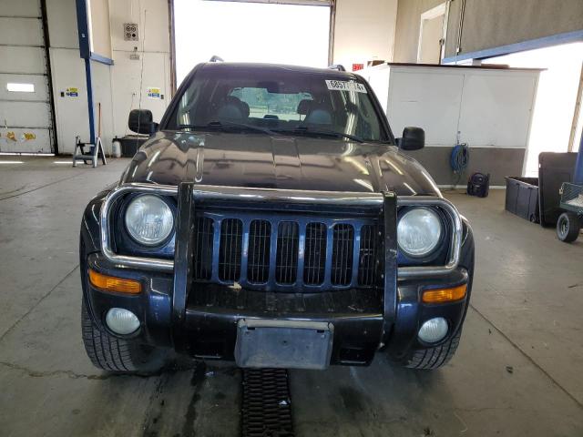 Photo 5 from auction – 2002 JEEP LIBERTY LI with VIN 1J4GL58K42W141706