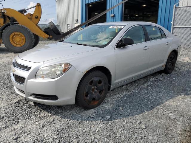 CHEVROLET MALIBU LS 2010 with VIN 1G1ZB5E04AF256253 - Photo from auction