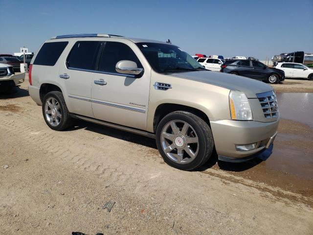 Photo 4 from auction – 2010 CADILLAC ESCALADE P with VIN 1GYUCCEF2AR137553