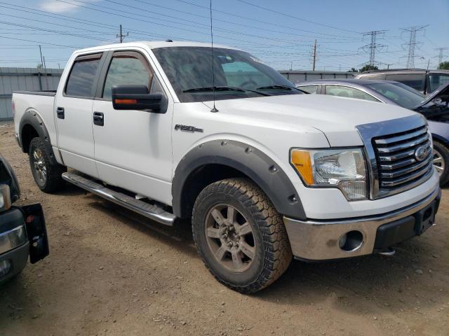 Photo 4 from auction – 2010 FORD F150 SUPER with VIN 1FTEW1E88AFD54209