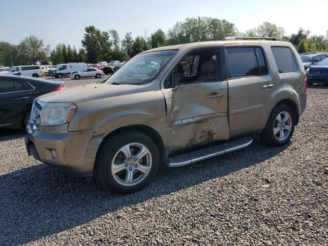 HONDA PILOT EXL 2010 with VIN 5FNYF4H55AB001916 - Photo from auction