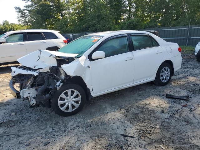 TOYOTA COROLLA BA 2011 with VIN 2T1BU4EE0BC609249 - Photo from auction