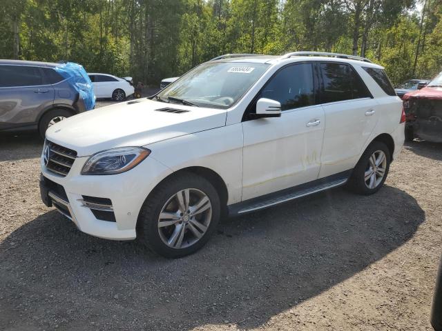 MERCEDES-BENZ ML 350 BLU 2014 with VIN 4JGDA2EB6EA336950 - Photo from auction