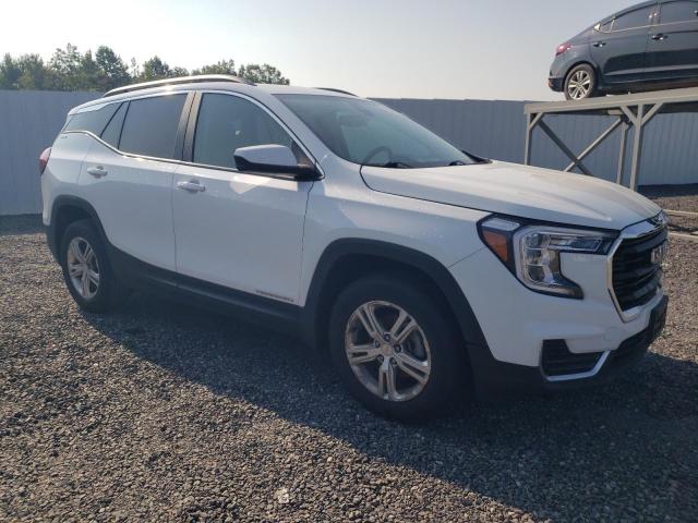 Photo 4 from auction – 2022 GMC TERRAIN SL with VIN 3GKALMEV2NL158961