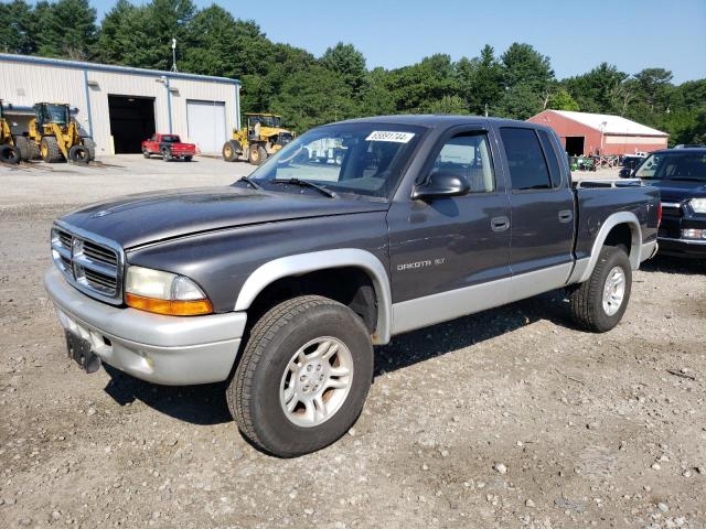 DODGE DAKOTA 2002 with VIN 1B7HG48N02S519241 - Photo from auction