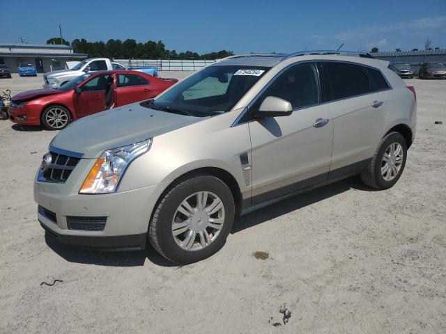 CADILLAC SRX LUXURY 2011 with VIN 3GYFNDEY2BS527500 - Photo from auction