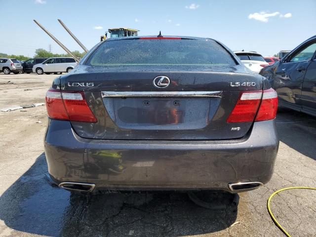 Photo 6 from auction – 2009 LEXUS LS 460 with VIN JTHCL46F695003104
