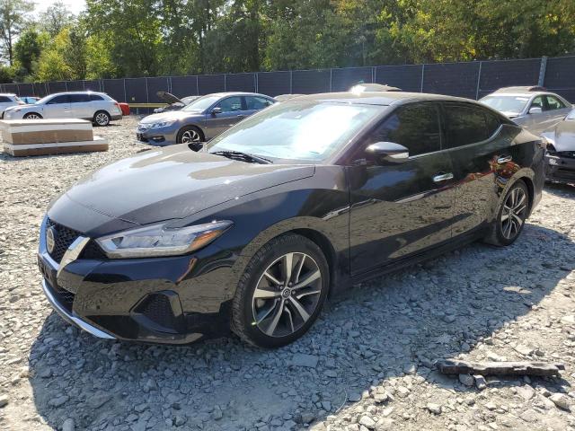 NISSAN MAXIMA SV 2020 with VIN 1N4AA6CV0LC376671 - Photo from auction