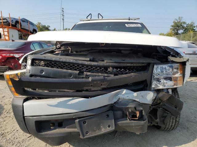 Photo 5 from auction – 2008 CHEVROLET SILVERADO with VIN 1GCEC14X28Z314329