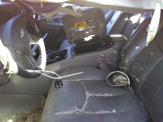 صورة رقم 7 من المزاد - 2005 CHEVROLET SILVERADO مع VIN 1GCHK23205F906885