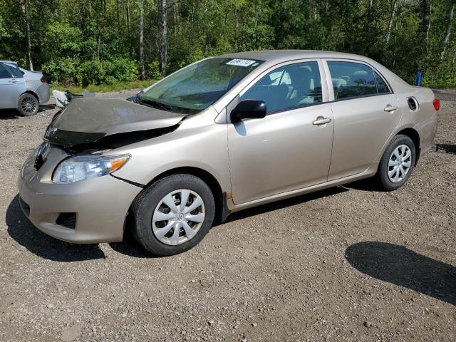 TOYOTA COROLLA BA 2010 with VIN 2T1BU4EE0AC209092 - Photo from auction