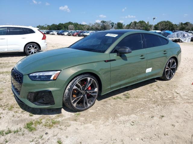 AUDI S5 PREMIUM 2024 with VIN WAUC4CF51RA029811 - Photo from auction