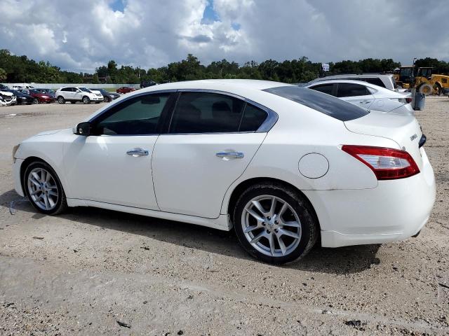 Photo 2 from auction – 2010 NISSAN MAXIMA with VIN 1N4AA5AP4AC841738