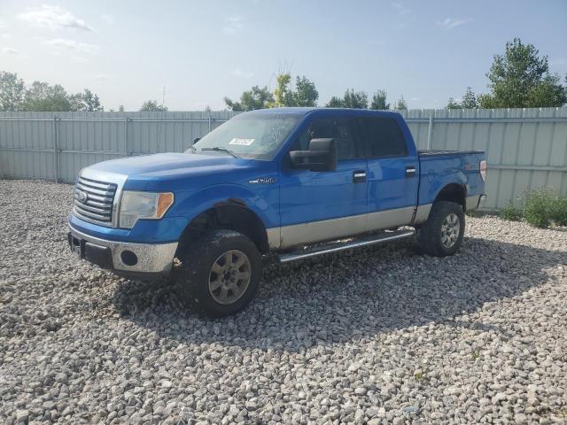 FORD F150 SUPER 2010 with VIN 1FTFW1EV6AFD58107 - Photo from auction
