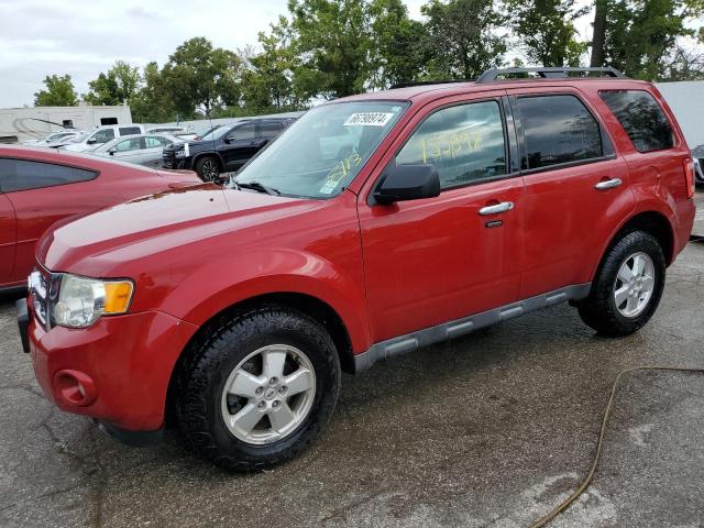 FORD ESCAPE XLT 2011 with VIN 1FMCU0DG0BKA75356 - Photo from auction