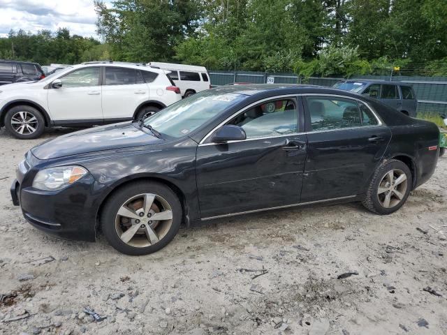 CHEVROLET MALIBU 1LT 2011 with VIN 1G1ZC5E1XBF126758 - Photo from auction