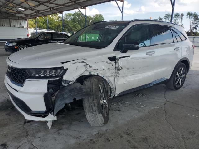 KIA SORENTO S 2023 with VIN 5XYRL4LC9PG206076 - Photo from auction