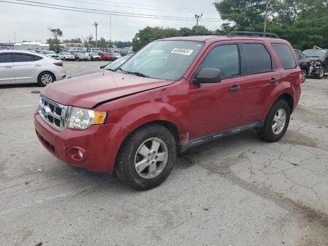 FORD ESCAPE XLT 2011 with VIN 1FMCU0DG3BKC40736 - Photo from auction