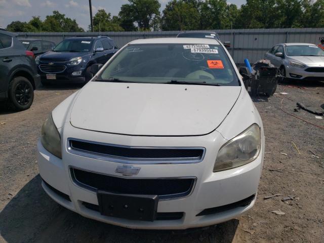 Photo 5 from auction – 2011 CHEVROLET MALIBU LS with VIN 1G1ZB5E17BF300871