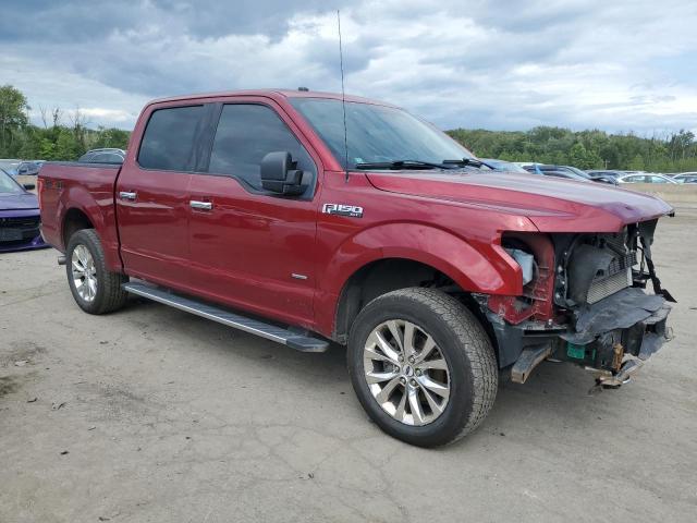 Photo 4 from auction – 2016 FORD F150 SUPER with VIN 1FTEW1EP6GFB40030