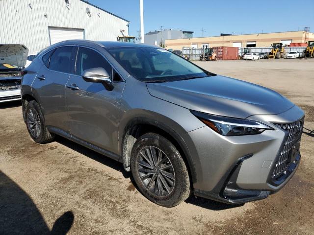 Photo 4 from auction – 2024 LEXUS NX 250 BAS with VIN 2T2ADCEZ4RC004990