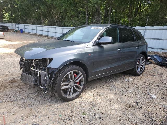 AUDI SQ5 PREMIU 2016 with VIN WA1CCAFP6GA138235 - Photo from auction