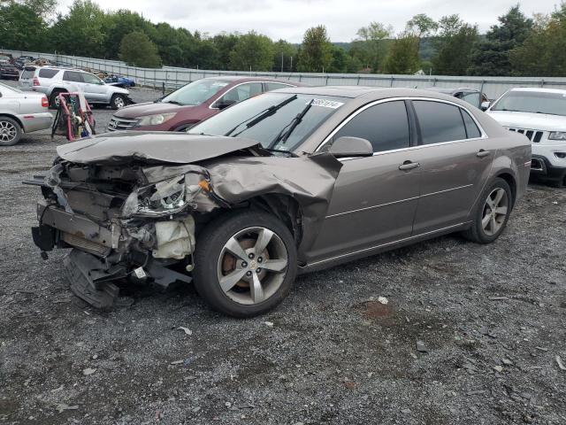 CHEVROLET MALIBU 1LT 2011 with VIN 1G1ZC5E10BF154861 - Photo from auction