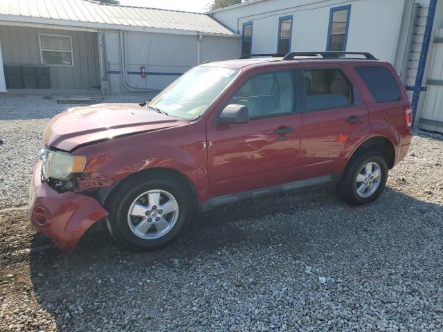 Photo 1 from auction – 2010 FORD ESCAPE XLT with VIN 1FMCU0DG6AKC83384