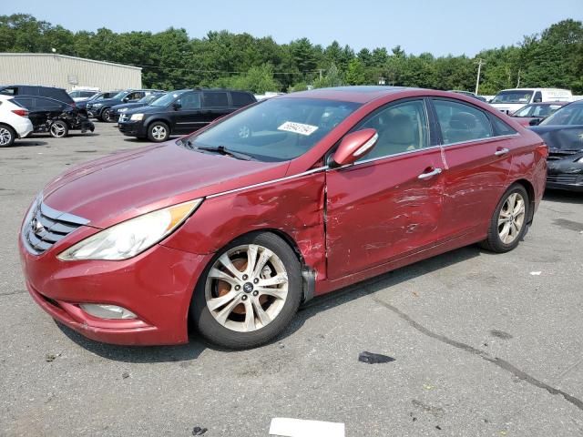 HYUNDAI SONATA SE 2011 with VIN 5NPEC4AC3BH239920 - Photo from auction