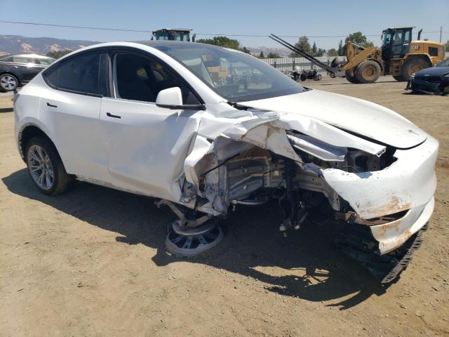 Photo 4 from auction – 2023 TESLA MODEL Y with VIN 7SAYGDEE5PF861196