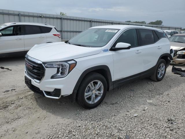 GMC TERRAIN SL 2024 with VIN 3GKALTEG0RL151153 - Photo from auction