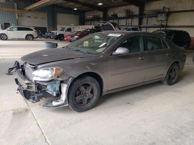 CHEVROLET MALIBU LS 2010 with VIN 1G1ZB5EB2A4122645 - Photo from auction