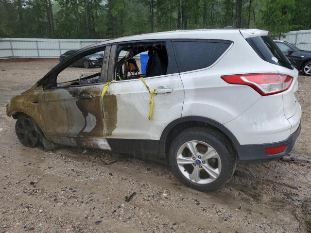 Photo 2 from auction – 2013 FORD ESCAPE SE with VIN 1FMCU0GX4DUA74102