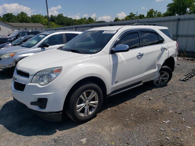 CHEVROLET EQUINOX LT 2011 with VIN 2CNFLEEC1B6448545 - Photo from auction