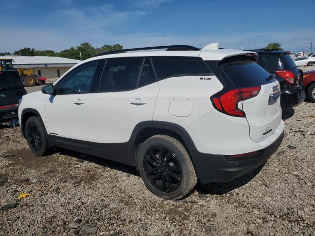 Photo 2 from auction – 2020 GMC TERRAIN SL with VIN 3GKALTEV9LL343354