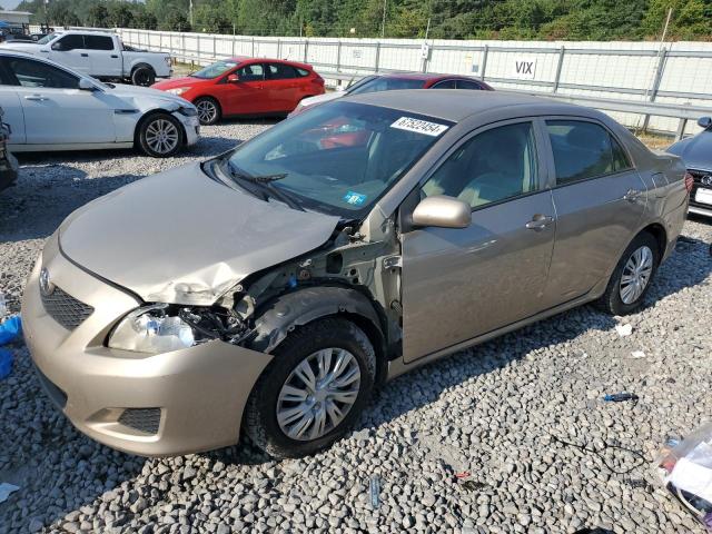 TOYOTA COROLLA BA 2010 con VIN 2T1BU4EE8AC498089 - Foto de la subasta